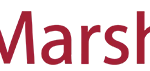 Marshalls-logo